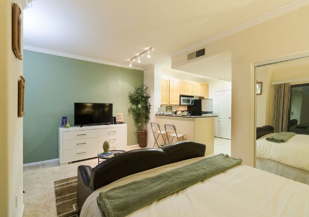 City West Apartment | #154165 Luxury Studio Apartment - DTLA view