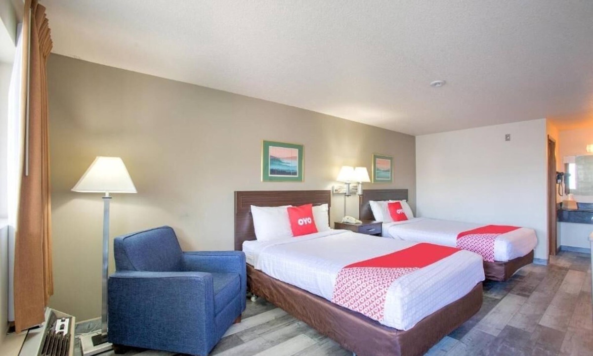 Woodland Hotel | 2 Affordable Rooms Ideal for Woodland Adventures | Pet-Friendly