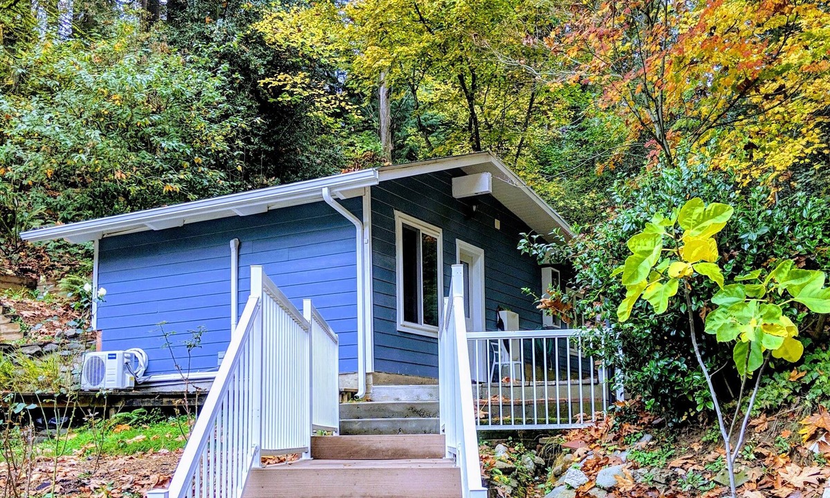 Lake Forest Park Cabin | A private newly renovated cabin surrounded by trees