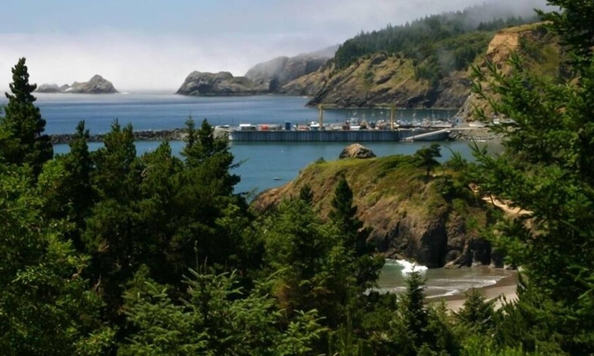 Port Orford House | Battle Rock House-Port Orford - Spectacular Views No Wind Broadband Internet