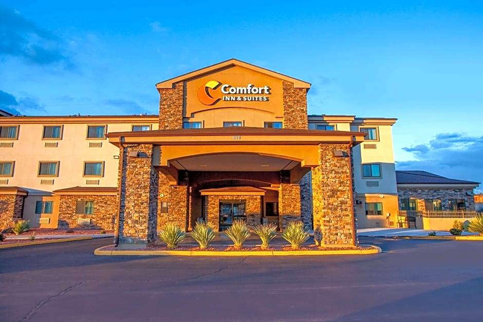 Page Hotel | Comfort Inn & Suites Page at Lake Powell