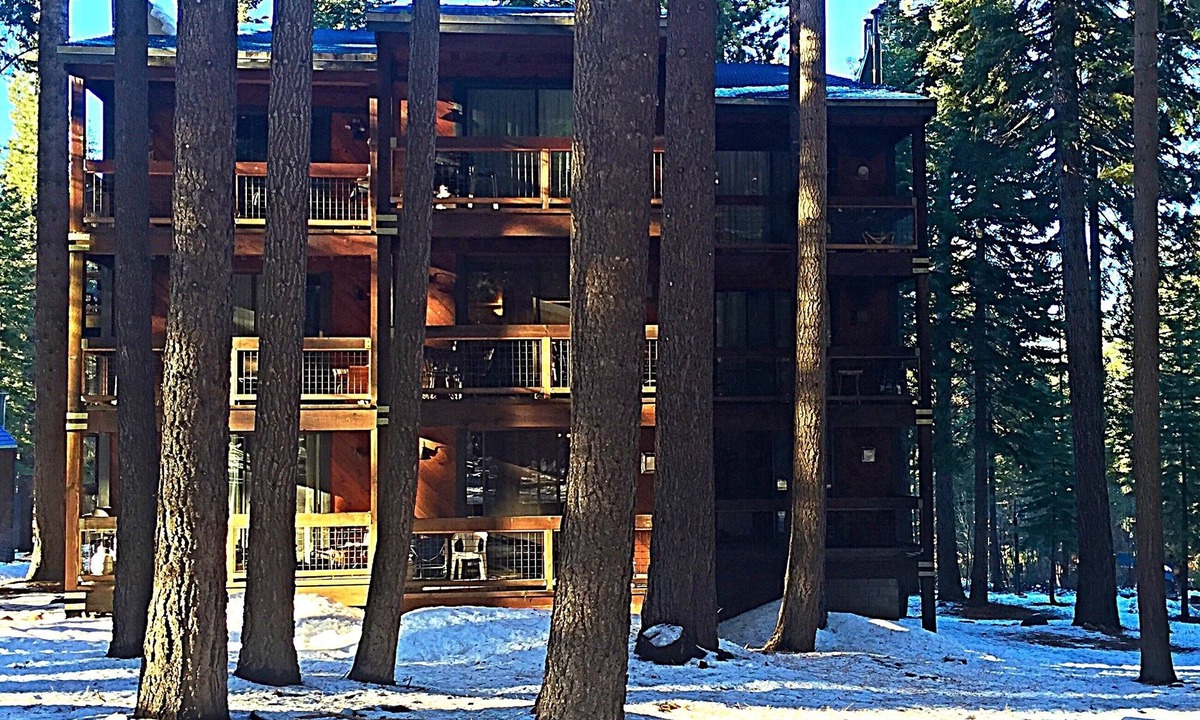 Truckee Apartment | Cozy Condo in a Peaceful Forest Setting, Quick Walk to Village, Pet-Friendly