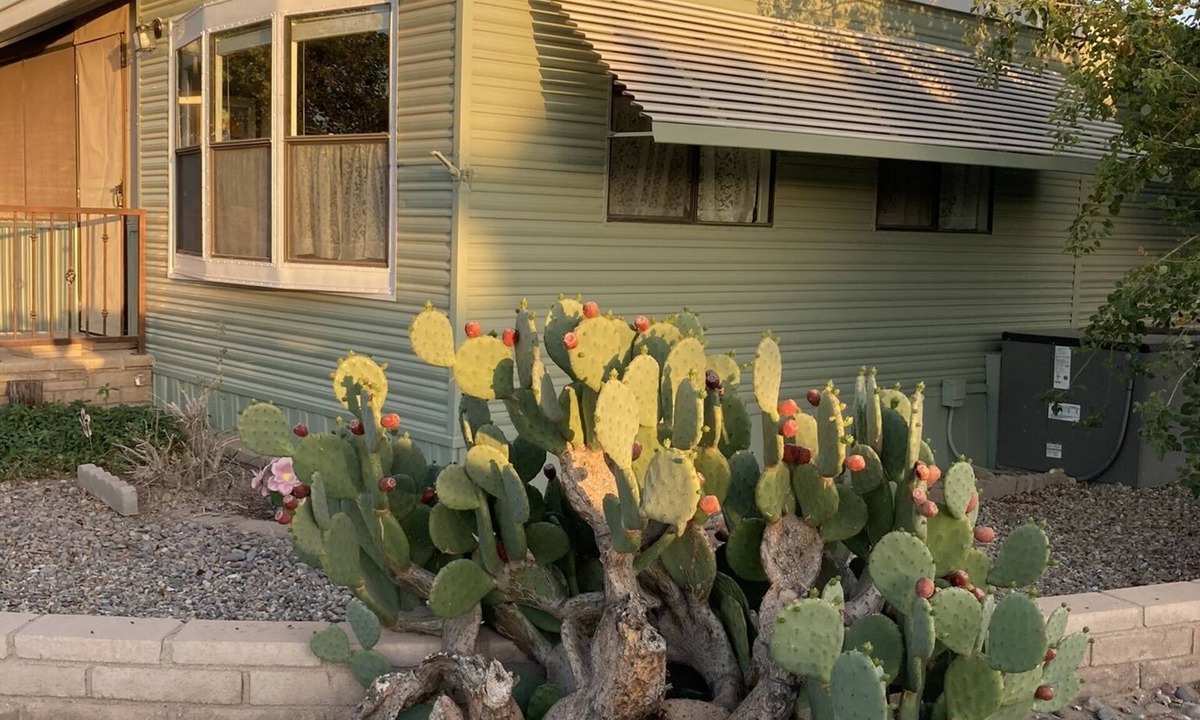 Yuma Cottage | Cozy cottage in premier active 55+ resort.