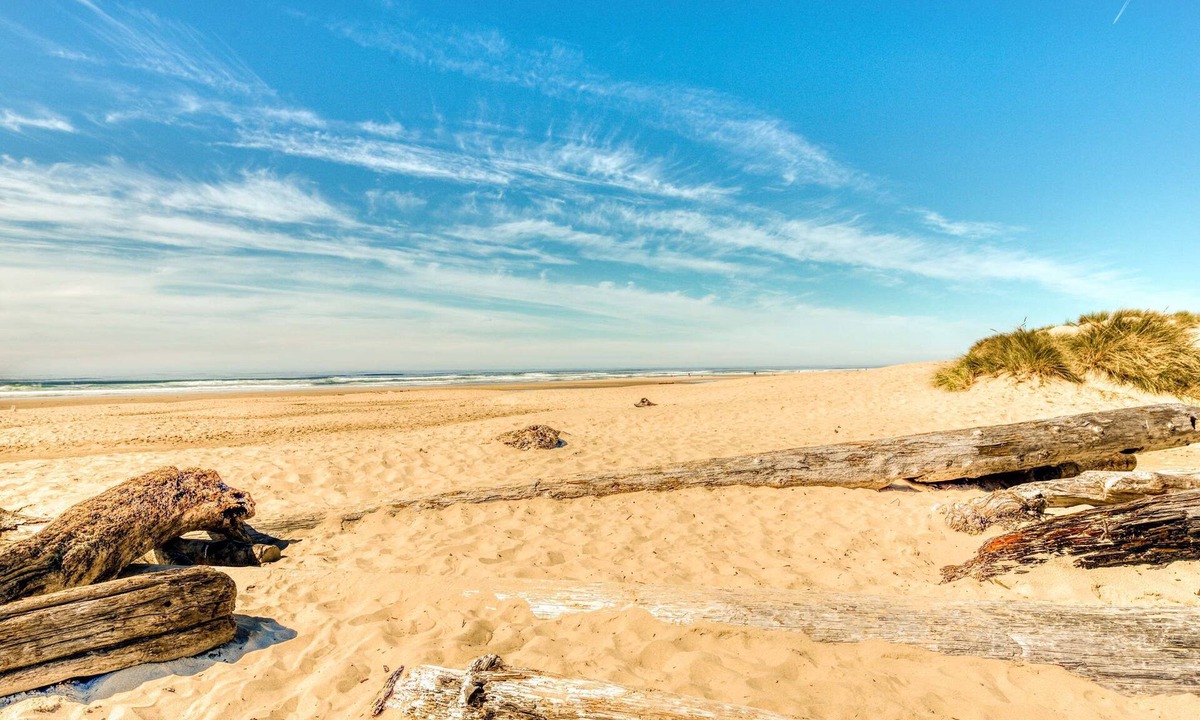Heceta Beach Apartment | Cozy & Well-Decorated Cabin with Close Beach Access - Dog Friendly