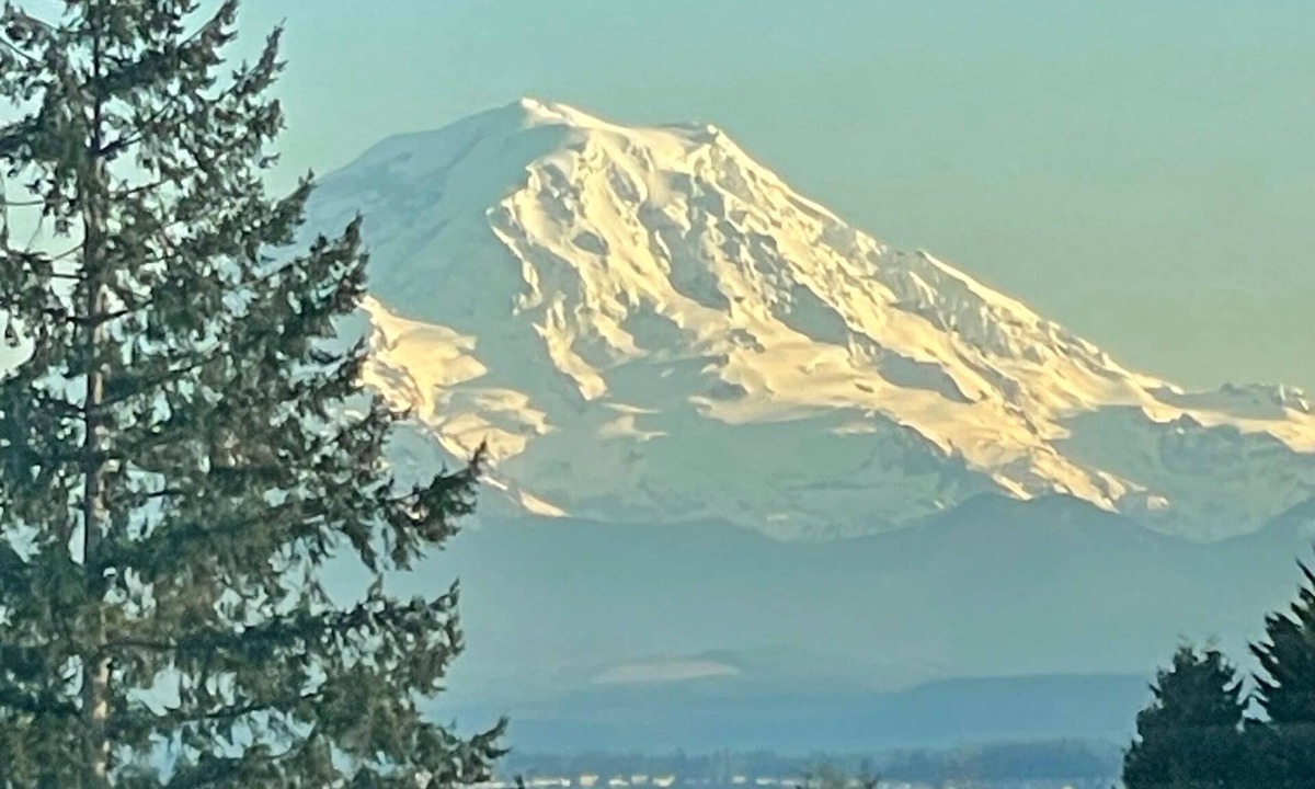 Edgewood House | Edgewood Escape | Mt. Rainier View| EV Charger - Central