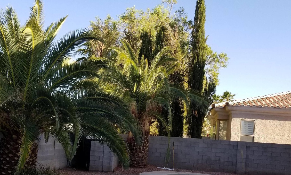 Rhodes Ranch House | Family&Friend Fun House