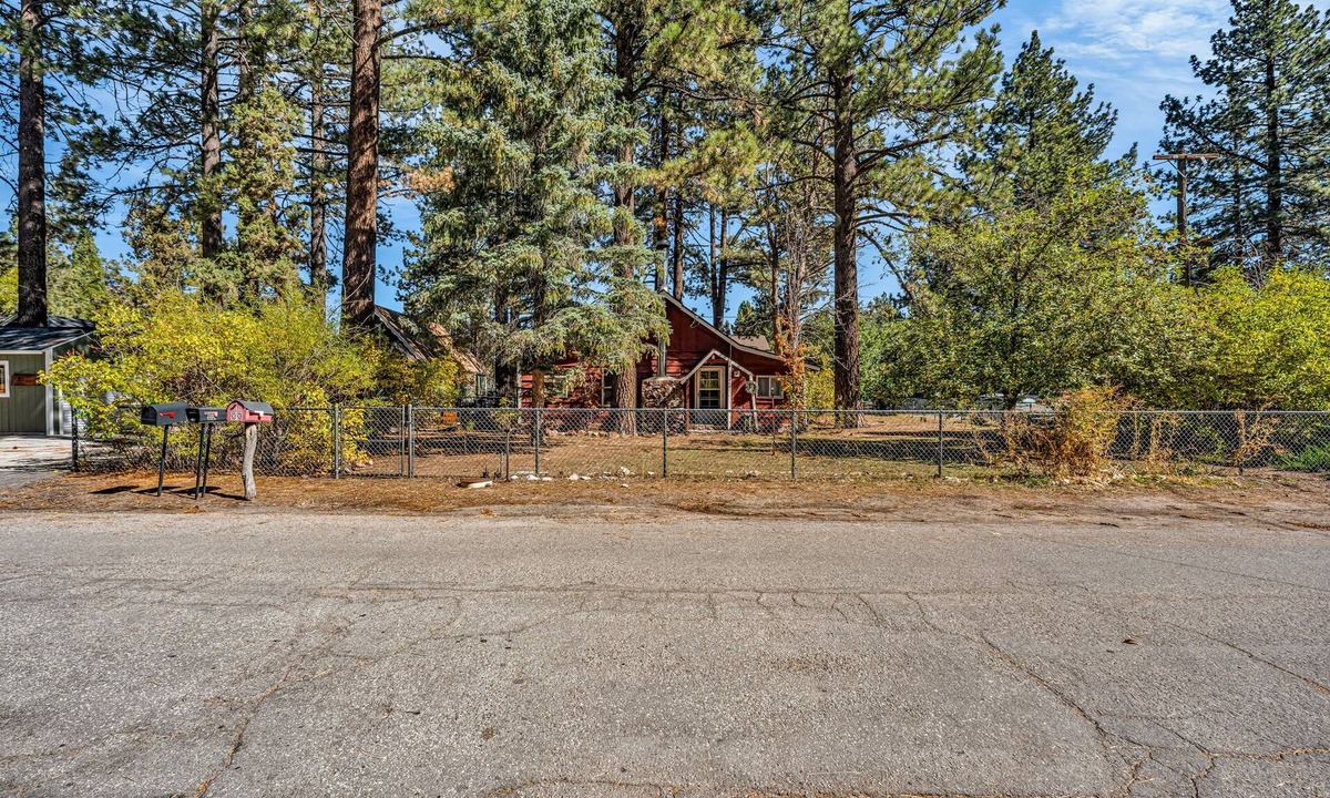 Peter Pan House | Family & Pet-Friendly Big Bear Getaway – Relax, Explore & Unwind with Big Yard!