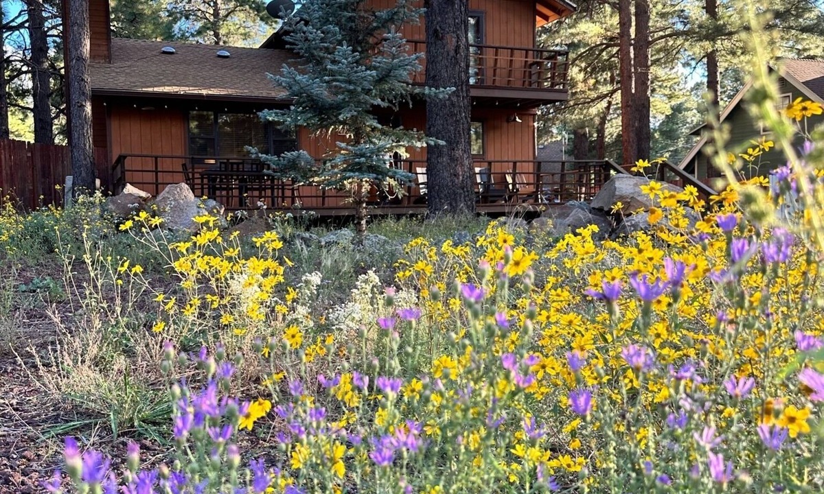Kachina Village Cabin | Flagstaff Pines Retreat, King Bed, Great Deck, Cool Summer Nights