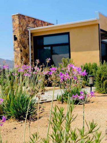 Valle de Guadalupe Apartment | Flor de Garambullo, Valle de Guadalupe