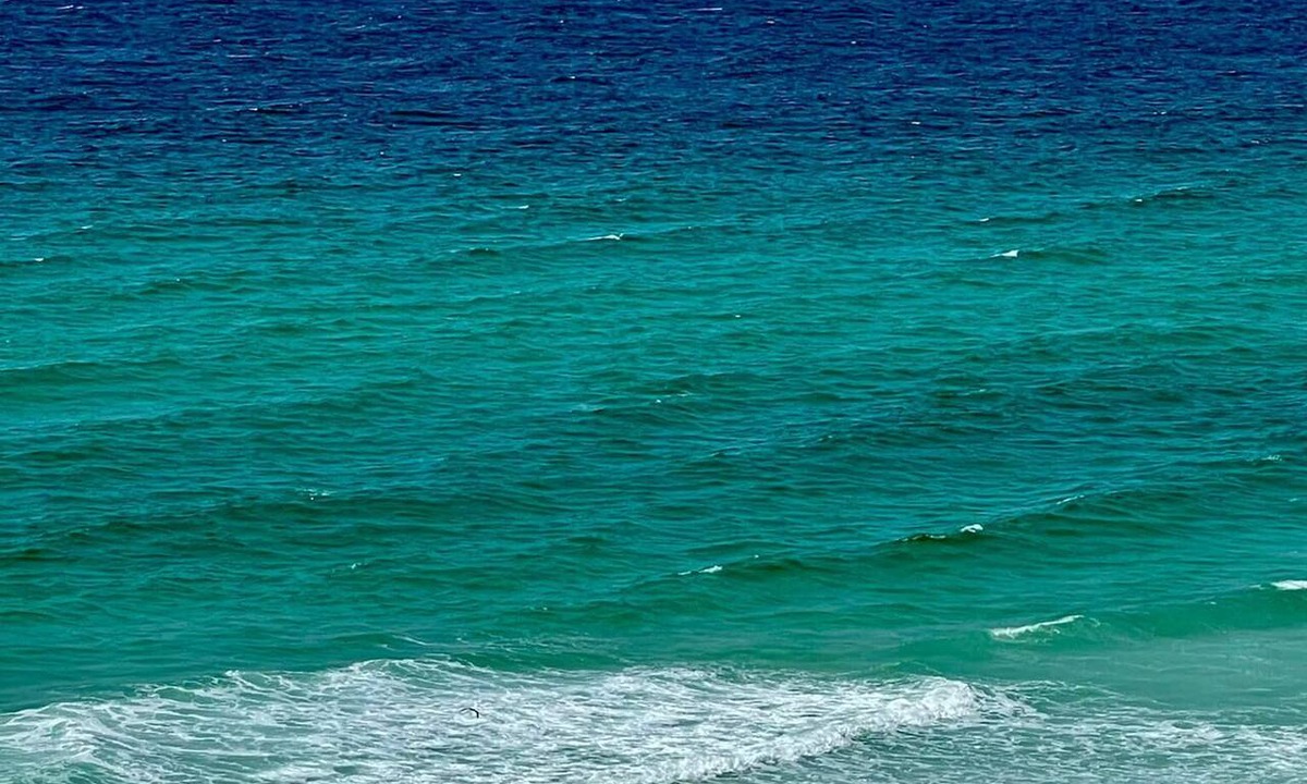 Pensacola Beach Condo | 𝔾𝕦𝕝𝕗𝔽𝕣𝕠𝕟𝕥 𝑬𝒎𝒆𝒓𝒂𝒍𝒅 𝑰𝒔𝒍𝒆 9th Floor Stocked & Stellar Reviews!
