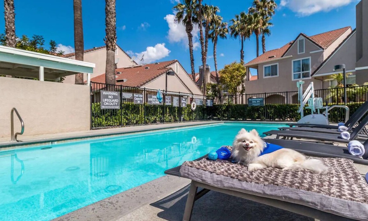 Downtown Village House | Home Away from Home! TWO 2BR Suites w/ Kitchens! Pool, Jacuzzi, Private Parking!