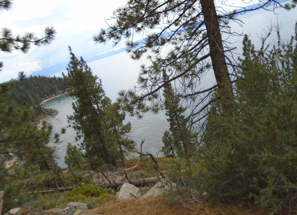 Stateline Hotel | Marriott Timberlodge Villa