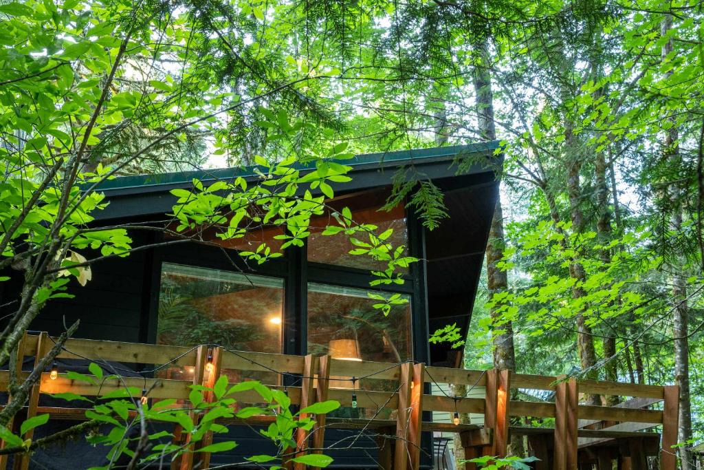 Rhododendron House | Mid-century Cabin Hideaway - Hot Tub & Fire Pit