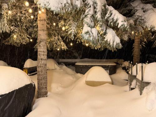 Big Bear Lake House | Moonridge Bear Mountain Cabin Hot Tub Pet Friendly Walk to Slopes Hike Golf Zoo
