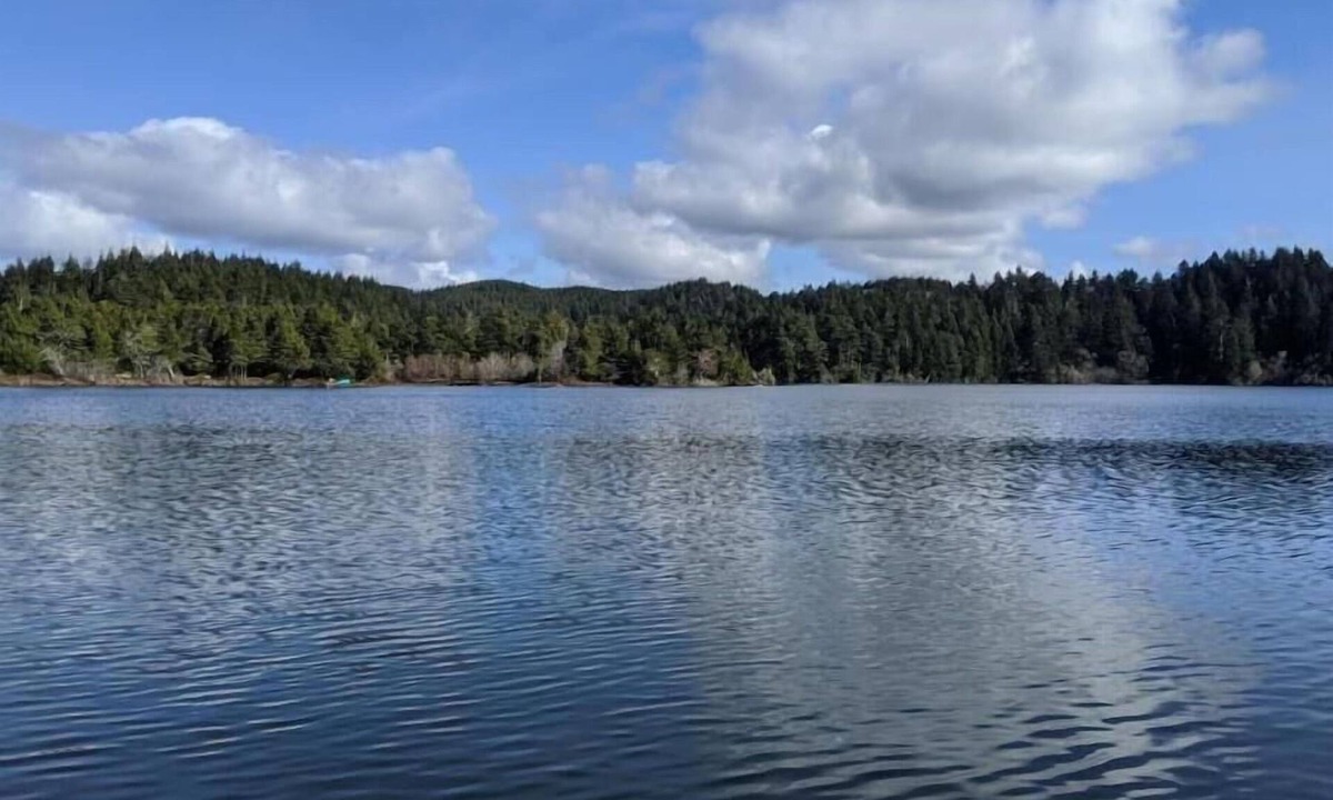 Florence House | Munsel Lake Landing with its own dock.