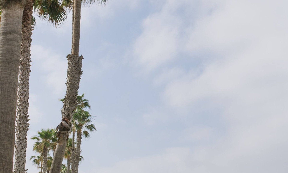 Townsite Condo | Oceanside California Beach Condo
