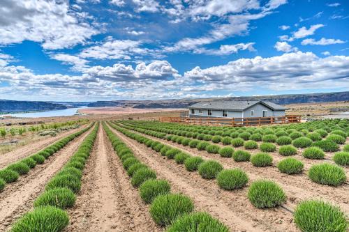 Quincy House | Quincy Home on Lavender Farm w/River Views!
