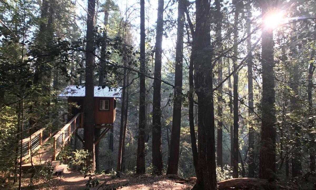 Cobb RV Rental | Romantic Tree House in a Towering Forest Trees near Pine Grove, California