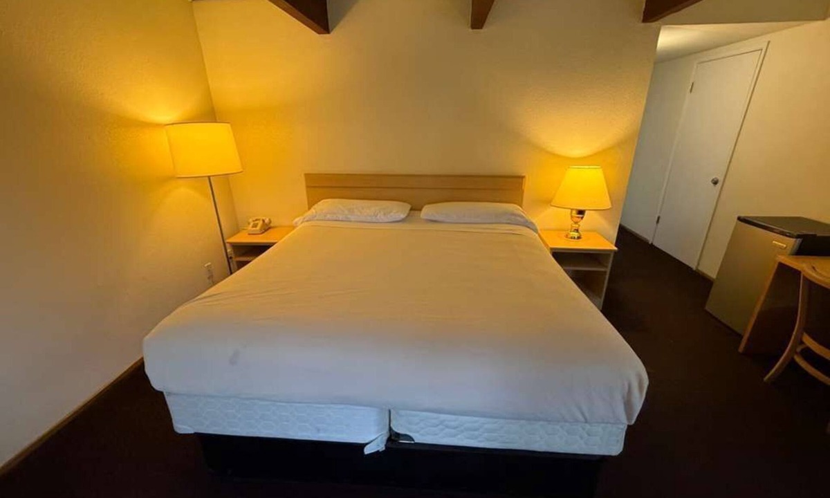 Concord Hotel | Royal plams