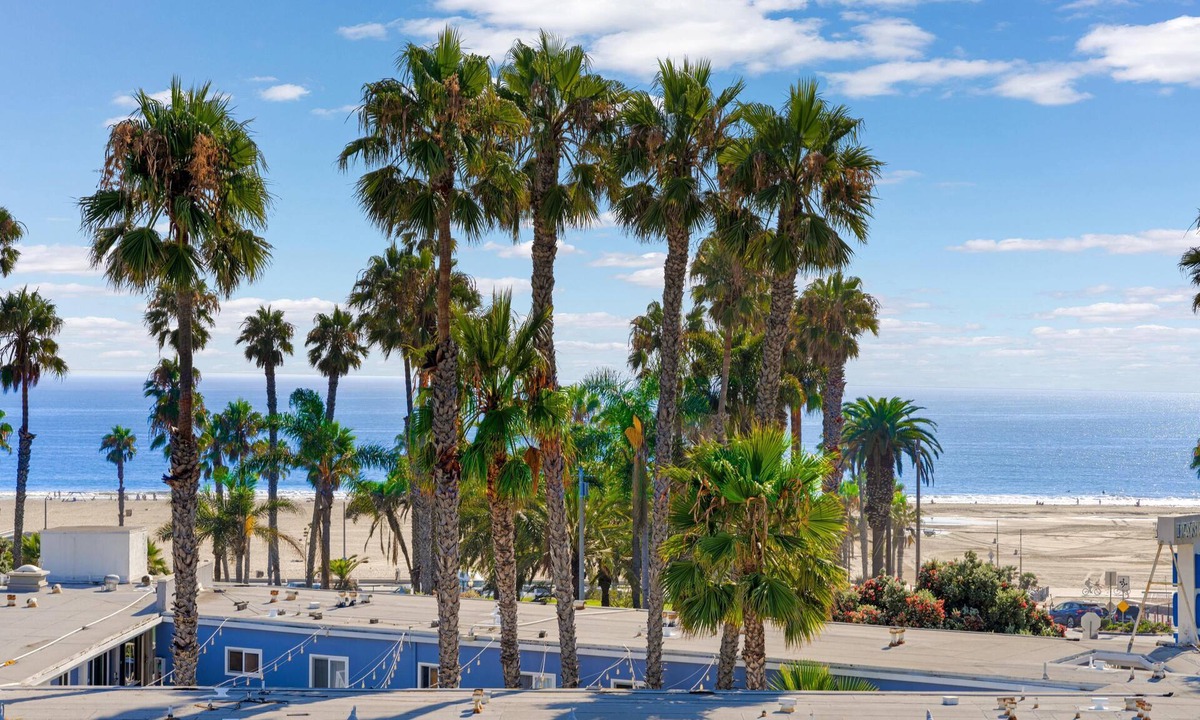 Downtown Apartment | Santa Monica Oceanview Retreat: Penthouse