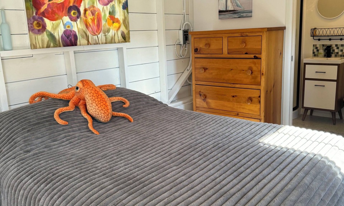 Anacortes Apartment | Similk Beach View Studio for two! Central HUB to San Juans and Skagit Valley!