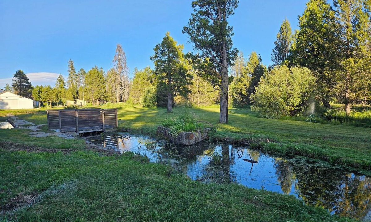 Mill Creek Hotel | The Black Forest Lodge