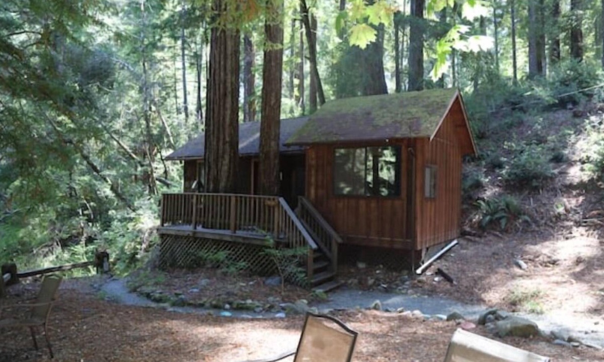 Garberville Cabin | "Twin Trees" Cabin River Access In Redwoods WiFi