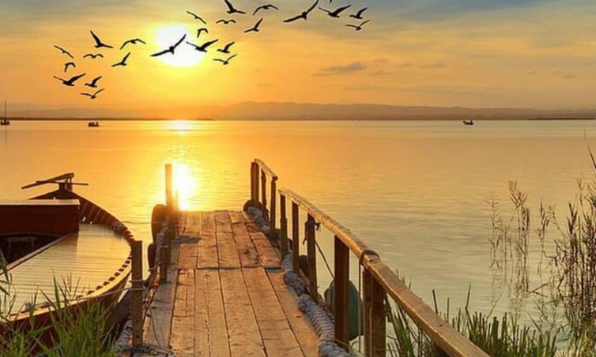 Midway-Pacific Highway House | Unlimited Adventure Awaits You! San Diego Fun, Fun