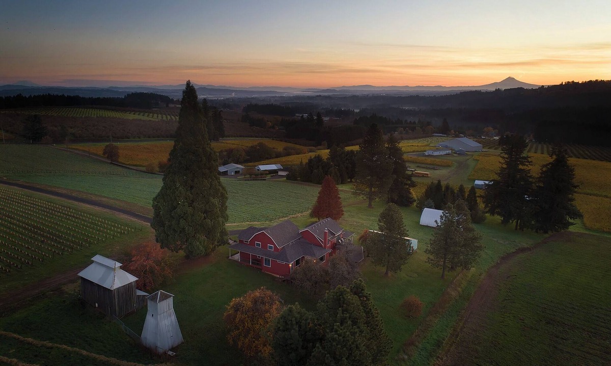 Sherwood House | Vineyard Farmhouse Stay with Mt. Hood Views. Spacious and Ideal for Large Groups