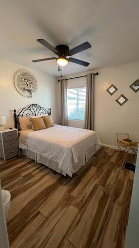 North Park Central House | West Mitchell