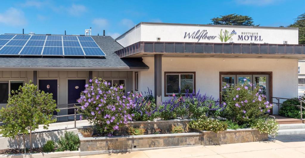 Point Arena Hotel | Wildflower Boutique Motel
