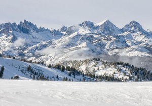 Aspen Creek #114