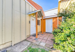 Dog-Friendly Oceanside Escape with Easy Beach Access and Peaceful Surroundings