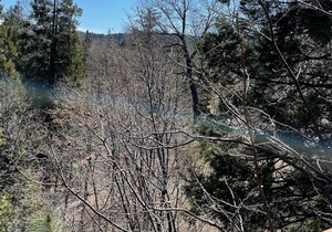 Lake Arrowhead LARGE family cabin in the forest. DUEL Suite. Privacy. Hot tub