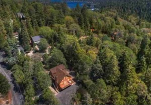 Lake Arrowhead Private Serene Cabin in the Woods- Dog Friendly