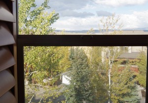Remodeled Cozy 4 BR, 3.5 BA + Den