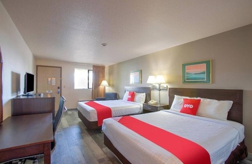 Woodland Hotel | 2 Affordable Rooms Ideal for Woodland Adventures | Pet-Friendly