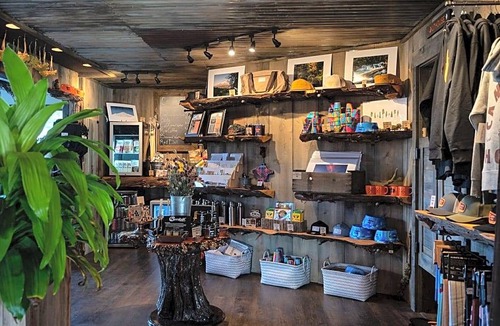 Orchard District Hotel | 2-Star Hotel ∙ Campfire Hotel