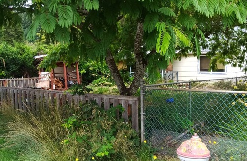 Oakridge House | 3-bedroom house in charming Oakridge perfect for your getaway