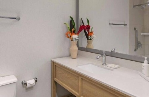 Mission Beach Hotel | 4 Family-friendly Units w/Private Patio! Steps to Pacific Beach! Onsite Pool!