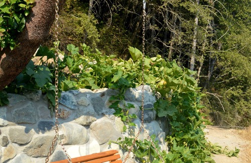Gasquet Cabin | A-Frame, Off-Grid, Rustic Cabin