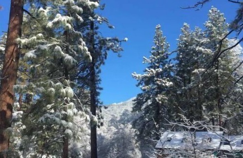Idyllwild Cabin | Ahwahnee-be Vintage Cabin - Three blocks to town!