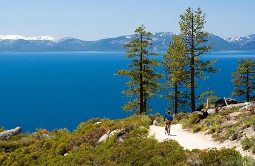 North Upper Truckee House | Alpine Family Adventure - Pets BBQ Games