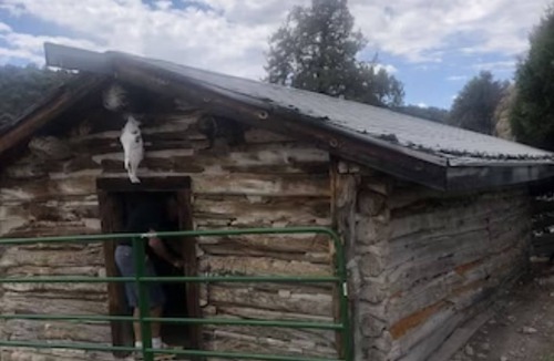 Sevier Cabin | Amazing Grass Creek
