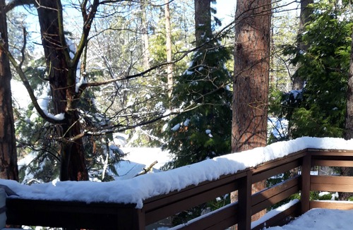 Idyllwild Cabin | Be Idle Or Be Wild Cabin