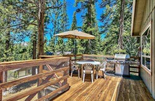 Country Club Estates House | Bear Haus - Sledding At Cabin - Forest Views - Foosball