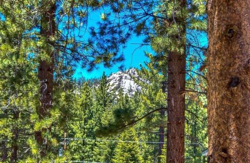 Country Club Estates House | Bear Haus - Sledding At Cabin - Forest Views - Foosball