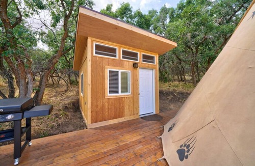 Mount Pleasant RV Rental | Bear Paw Den · Glamping Teepee w/King Bed sleeps 4 w/private pond