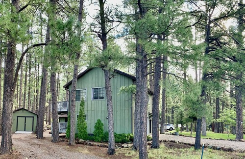 Munds Park Apartment | Bear Treeloft - An ADU in the cool pines & walking distance to fun!