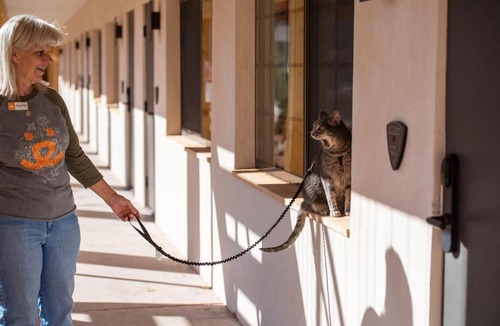Kanab Hotel | Best Friends Roadhouse and Mercantile